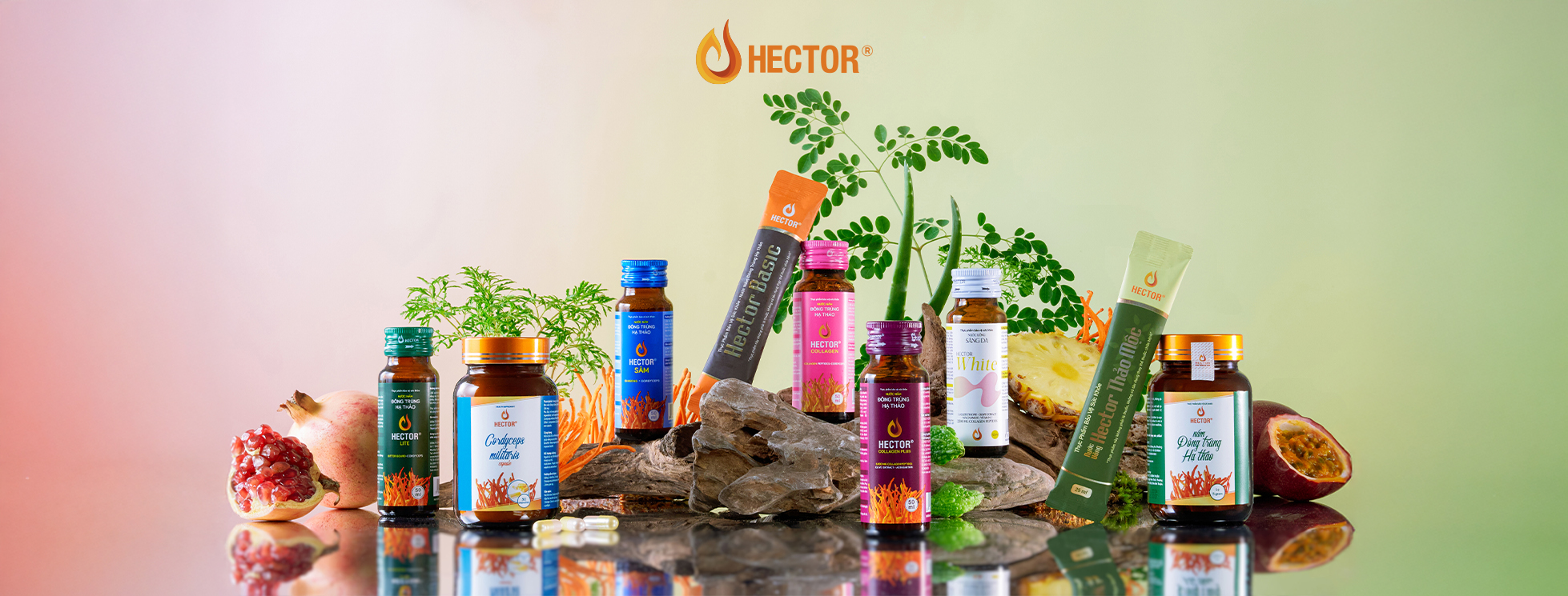 Giới thiệu về Lavite