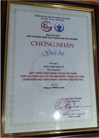 Giải thưởng sáng tạo Tp.HCM 2023