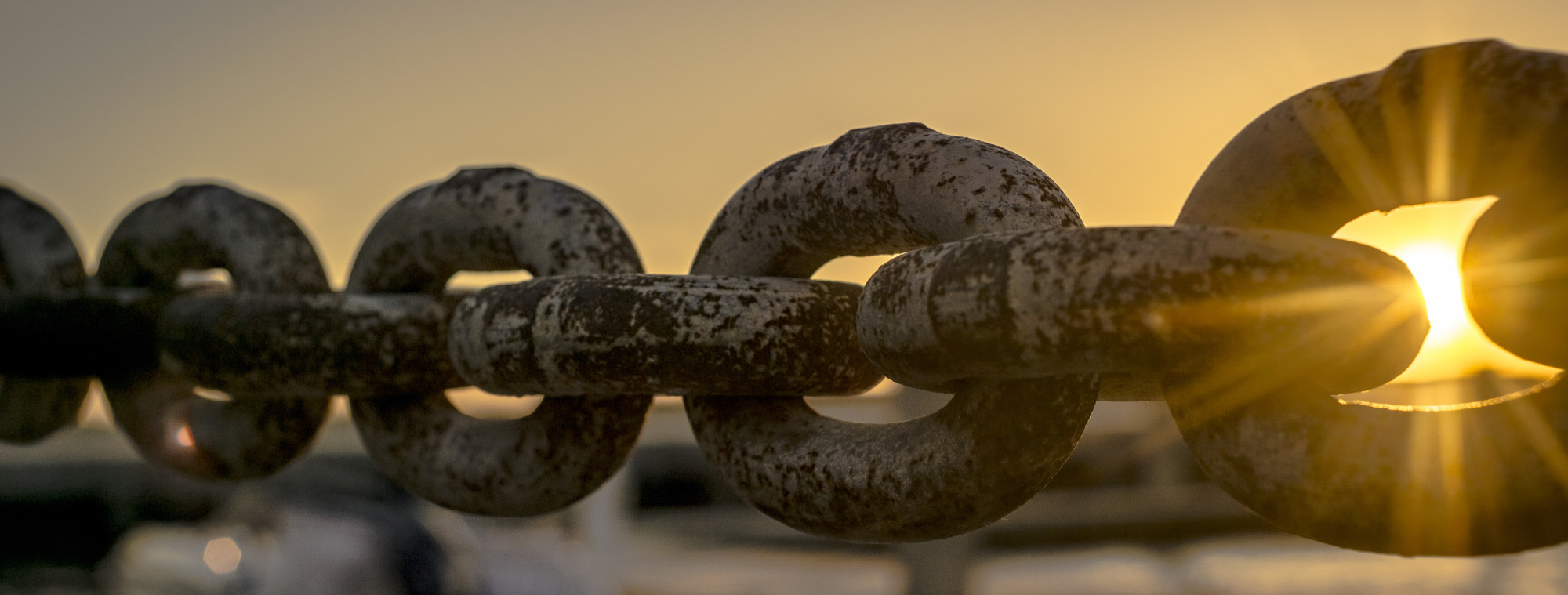 Blockchain: từ bitcoin đến nông nghiệp – truy xuất nguồn gốc