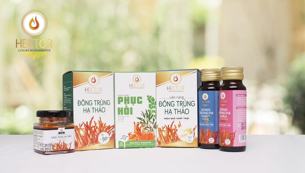 ĐÔNG TRÙNG HẠ THẢO CHO NGƯỜI VIỆT