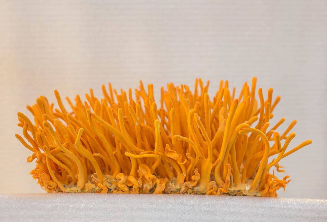 CEO NGUYỄN THỊ NGỌC TUYẾT: “THÀNH CÔNG KHỞI NGUỒN TỪ NIỀM TIN”