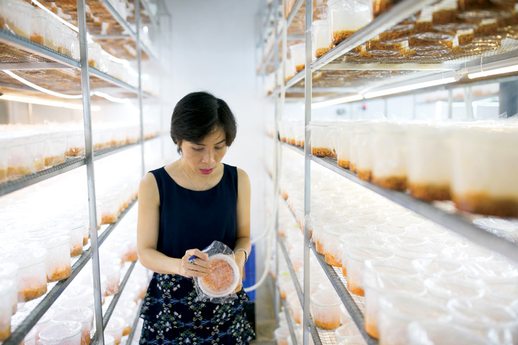 Nhà khoa học – ThS. Nguyễn Thị Ngọc Tuyết : Muốn khởi nghiệp thành công, cần có những người bạn đồng hành thấu hiểu – Bài trên Ngôi Sao Doanh Nhân