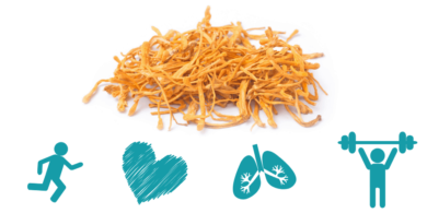 Đông trùng hạ thảo kháng virus nhờ cơ chế nào?