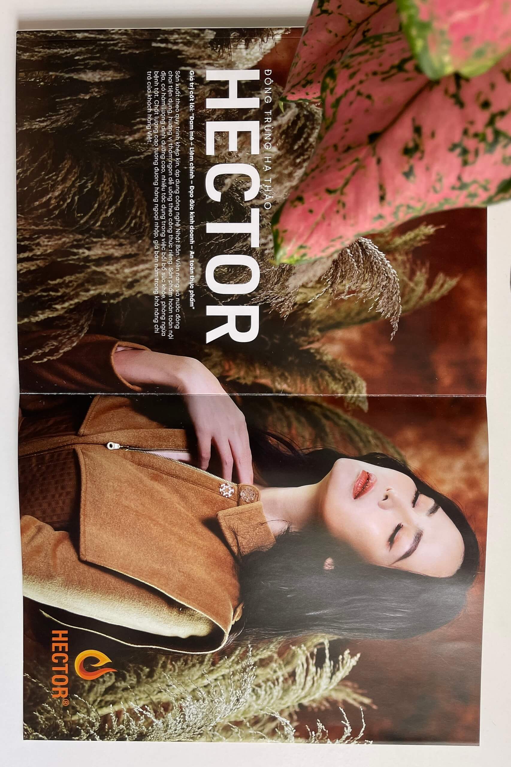 Tạp chí Look: Hàng “nội” chất lượng “ngoại”