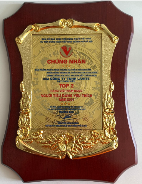 Top 2 - Hàng VN được người tiêu dùng yêu thích 2021