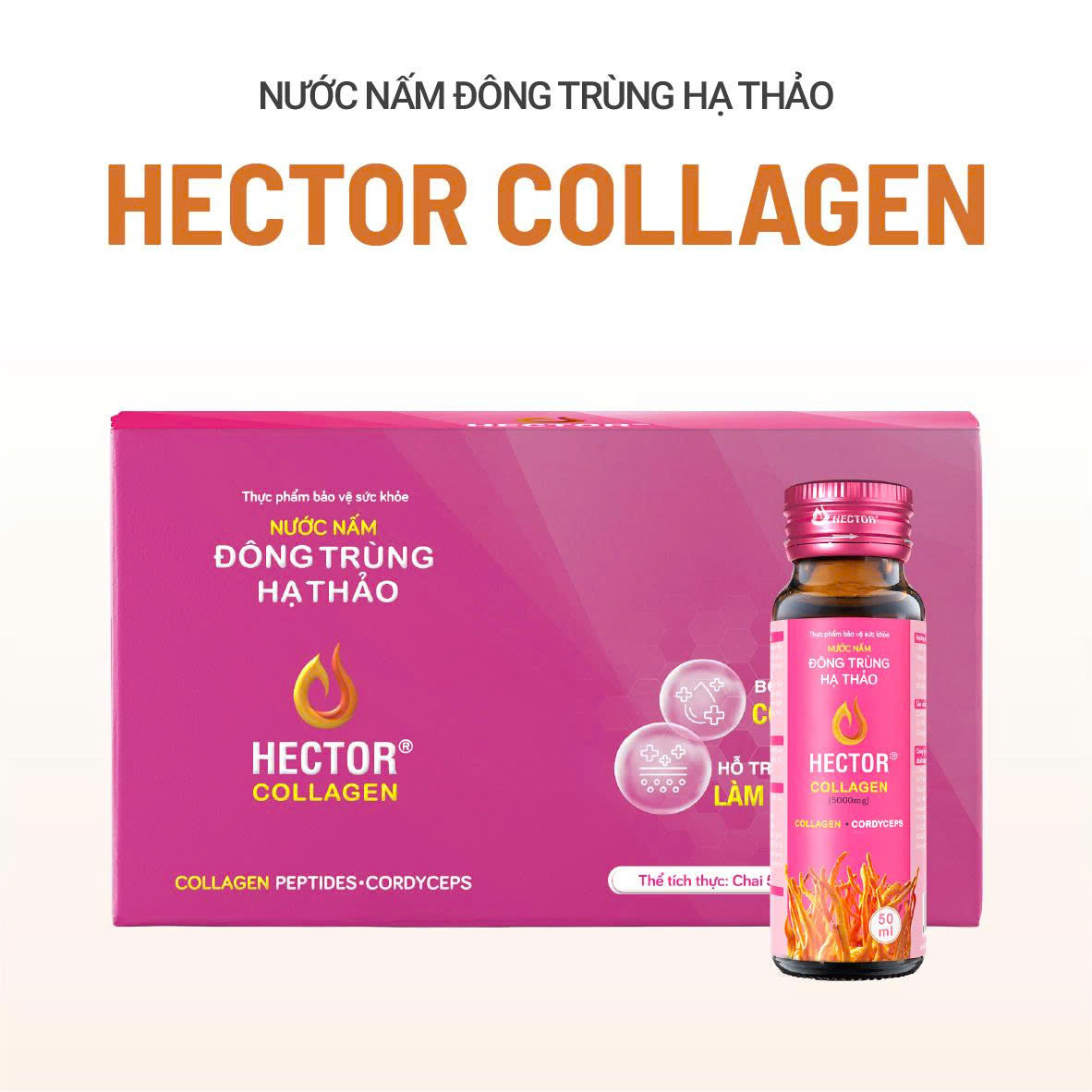 TPBVSK Nước Nấm Đông Trùng Hạ Thảo Hector Collagen
