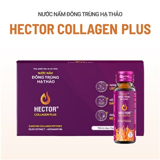 TPBVSK Nước Nấm Đông Trùng Hạ Thảo Hector Collagen Plus